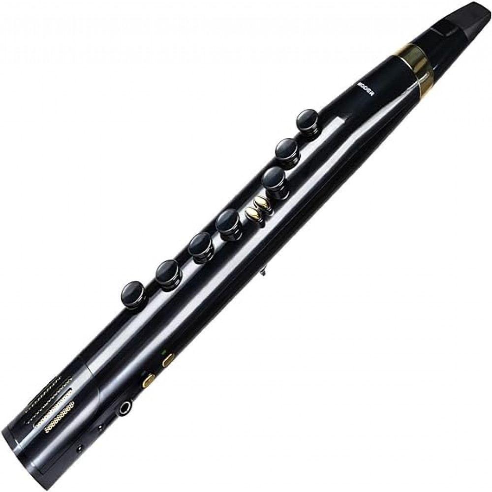 First on sale wind instrument